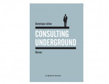 Consulting Underground – Roman de Dominique Julien